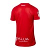 Maillot de Supporter RCD Mallorca Special 2023-24 Pour Homme